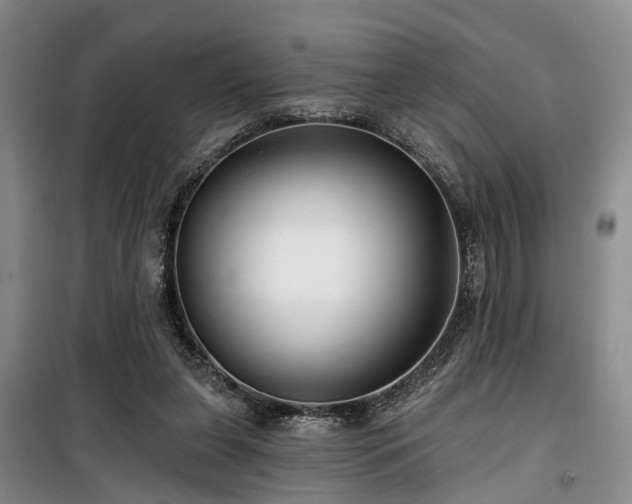 X0000100200255200805301316