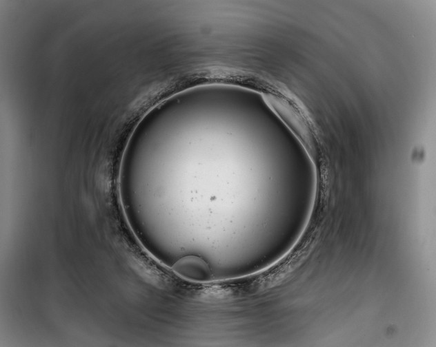 X0000100200257200805301316