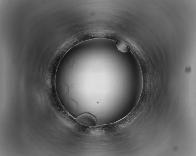 X0000100200258200805301316