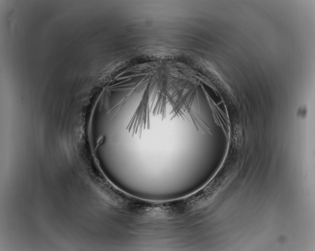 X0000100200259200805301316