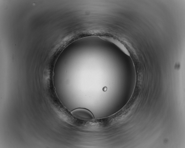 X0000100200260200805301316