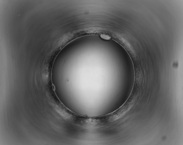 X0000100200261200805301316