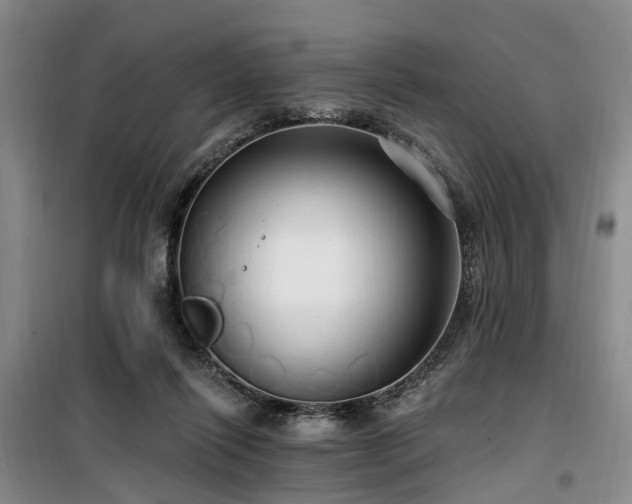 X0000100200262200805301316