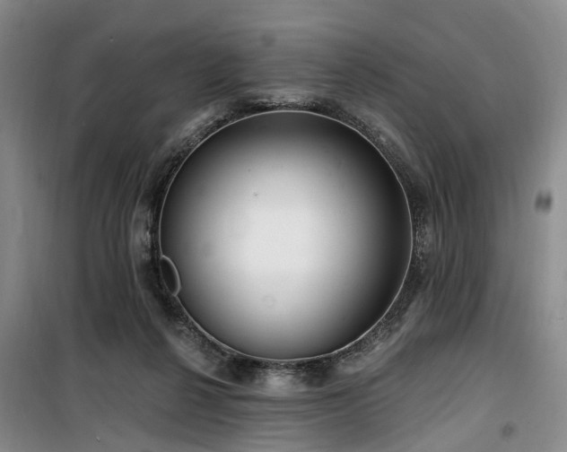 X0000100200264200805301316