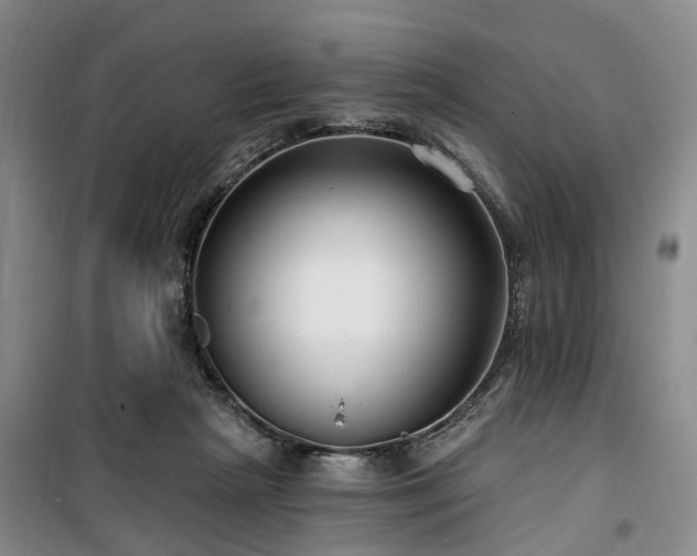 X0000100200265200805301316