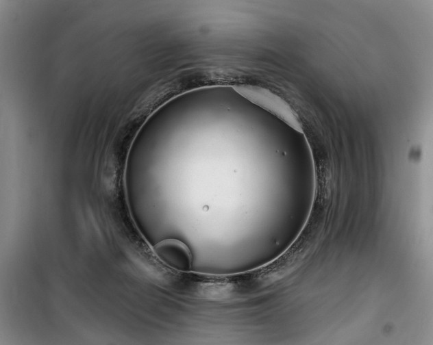 X0000100200266200805301316