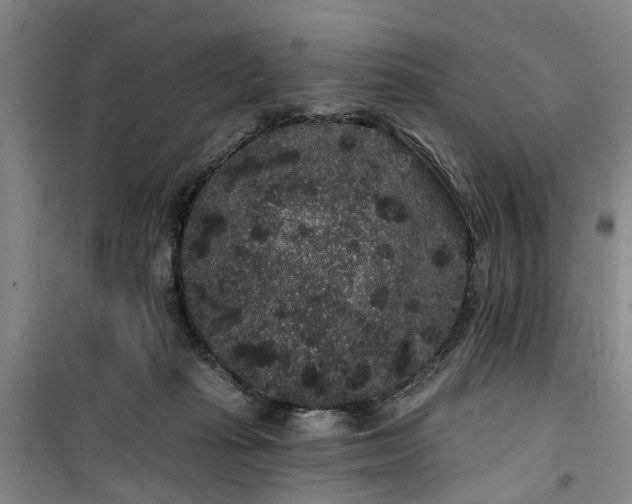 X0000100200269200805301316