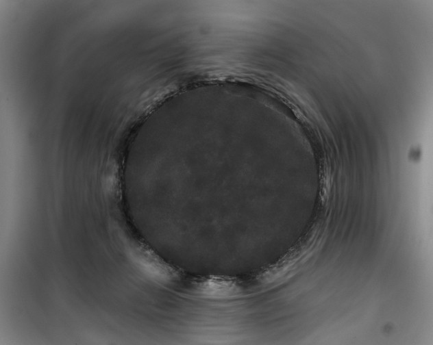 X0000100200270200805301316