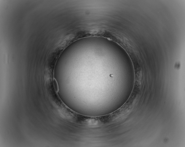 X0000100200272200805301316