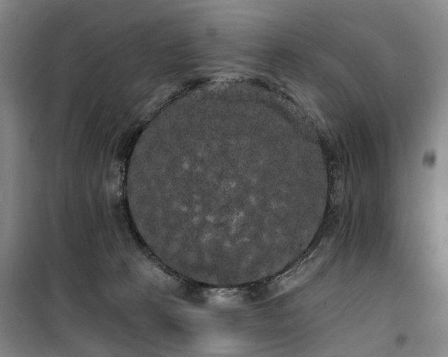 X0000100200273200805301316