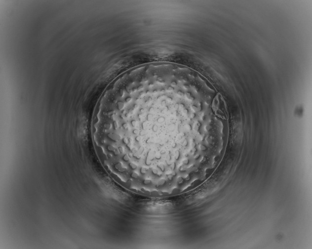 X0000100200274200805301316