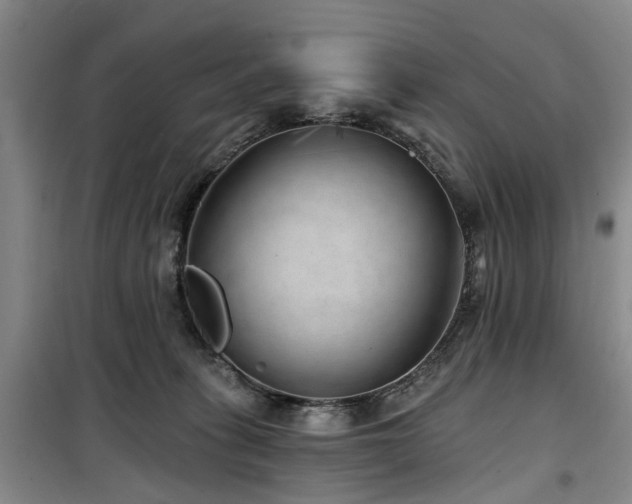 X0000100200275200805301316