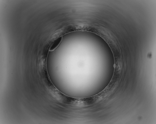 X0000100200276200805301317