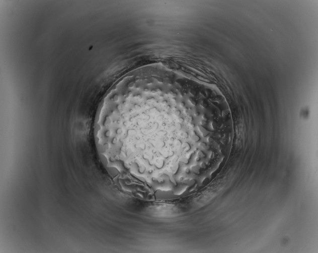 X0000100200278200805301317