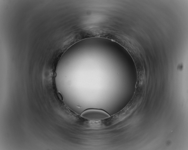 X0000100200279200805301317