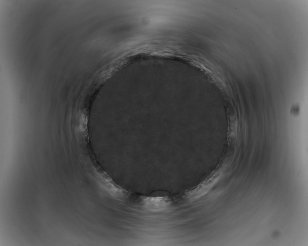 X0000100200281200805301317