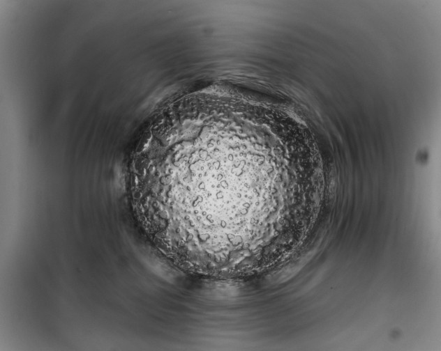 X0000100200282200805301317