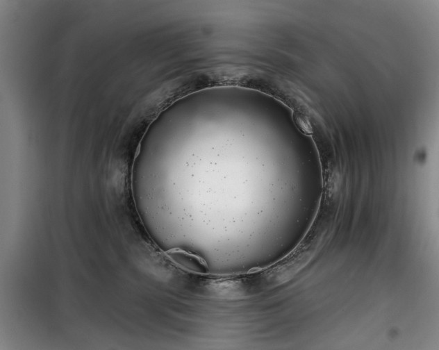 X0000100200283200805301317