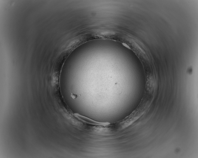 X0000100200284200805301317