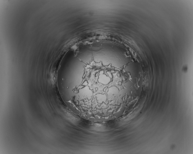 X0000100200285200805301317