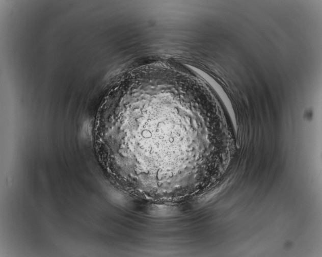 X0000100200286200805301317