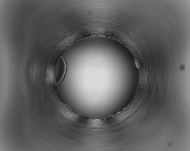 X0000100200287200805301317