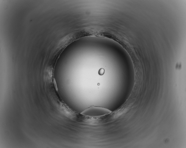 X0000100200288200805301317