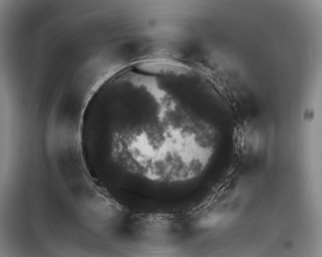 X0000100200292200805301316