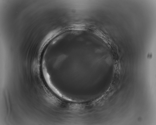 X0000100200293200805301316