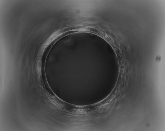 X0000100200295200805301316