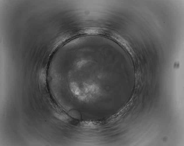 X0000100200297200805301316