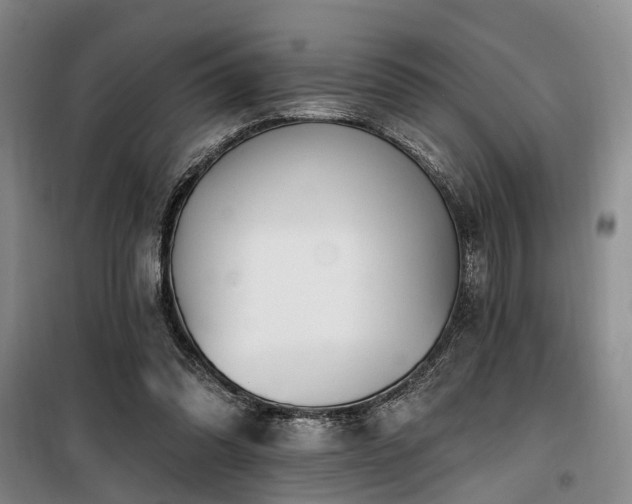 X0000100200302200805301316