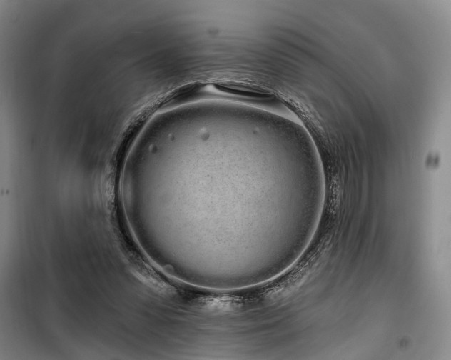 X0000100200303200805301316