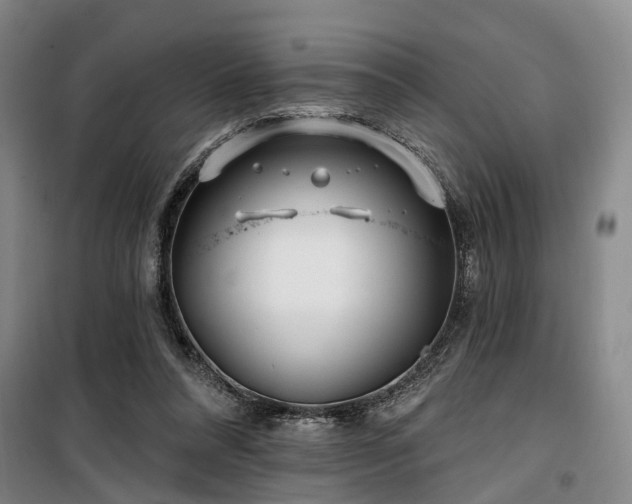 X0000100200304200805301316