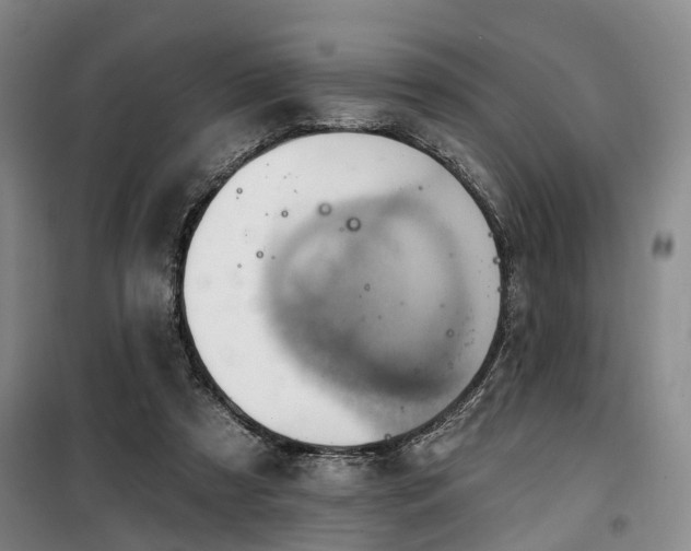 X0000100200305200805301316