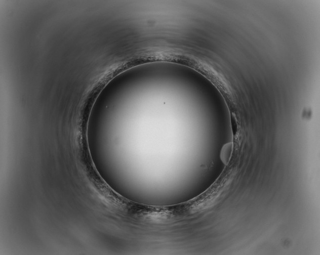 X0000100200306200805301316