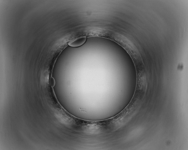 X0000100200310200805301316