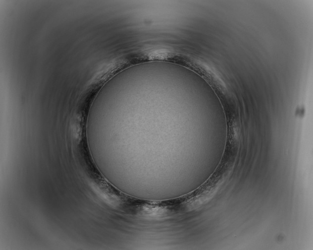 X0000100200311200805301316