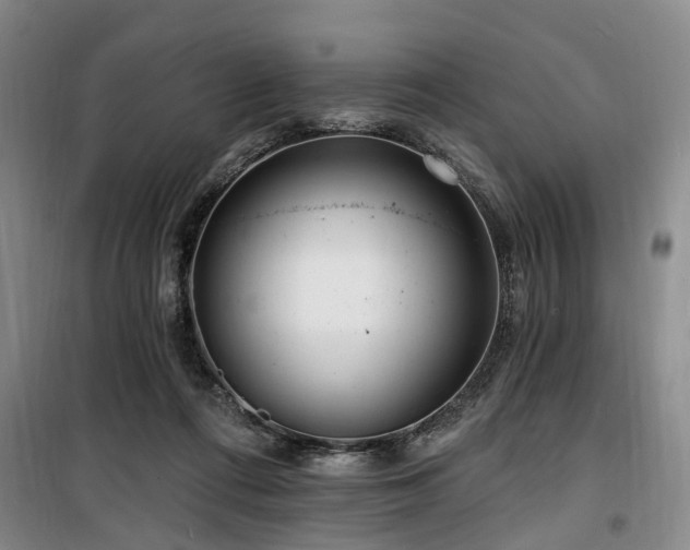 X0000100200312200805301316