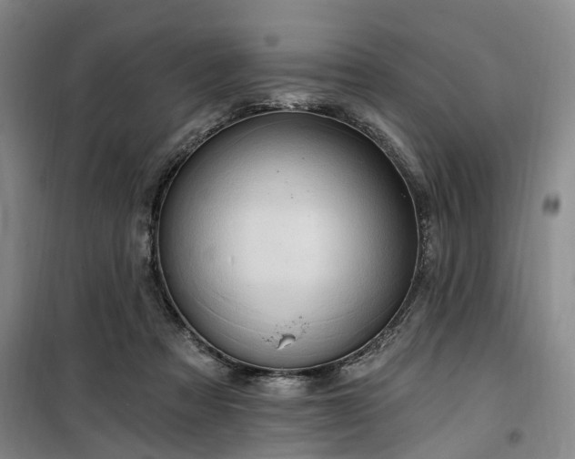 X0000100200313200805301316