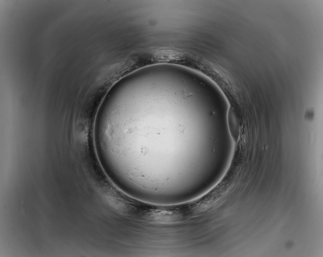 X0000100200315200805301316