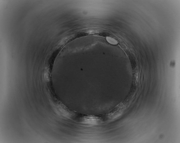 X0000100200316200805301316