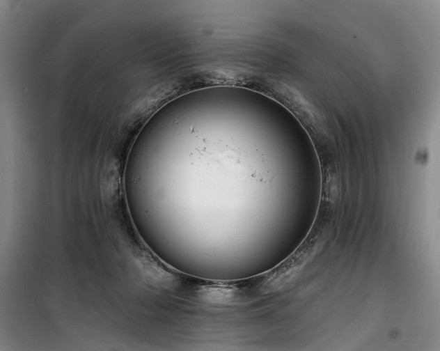 X0000100200318200805301316