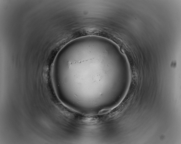 X0000100200319200805301316