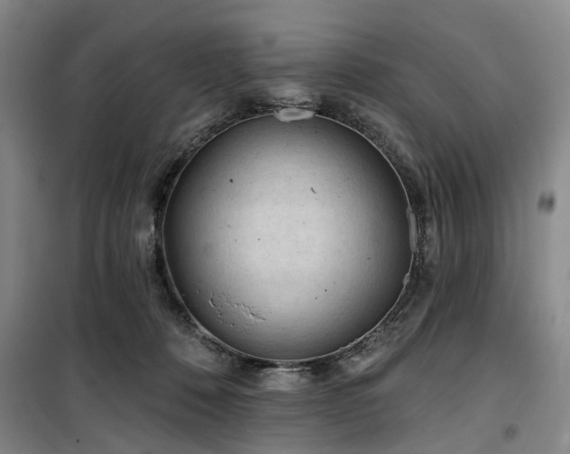 X0000100200320200805301316