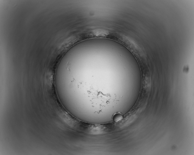 X0000100200321200805301316