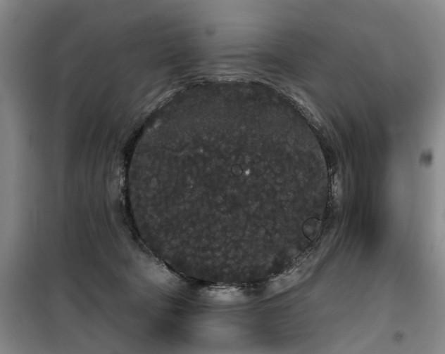 X0000100200322200805301316