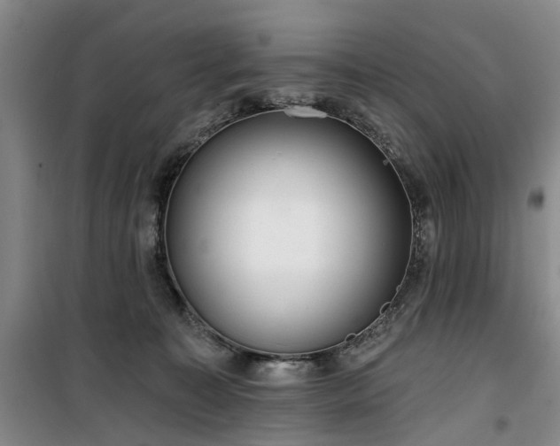 X0000100200323200805301316