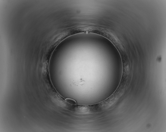 X0000100200325200805301316