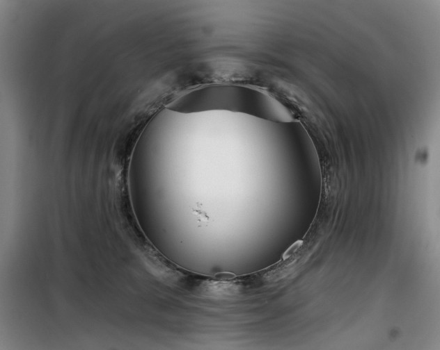 X0000100200327200805301315